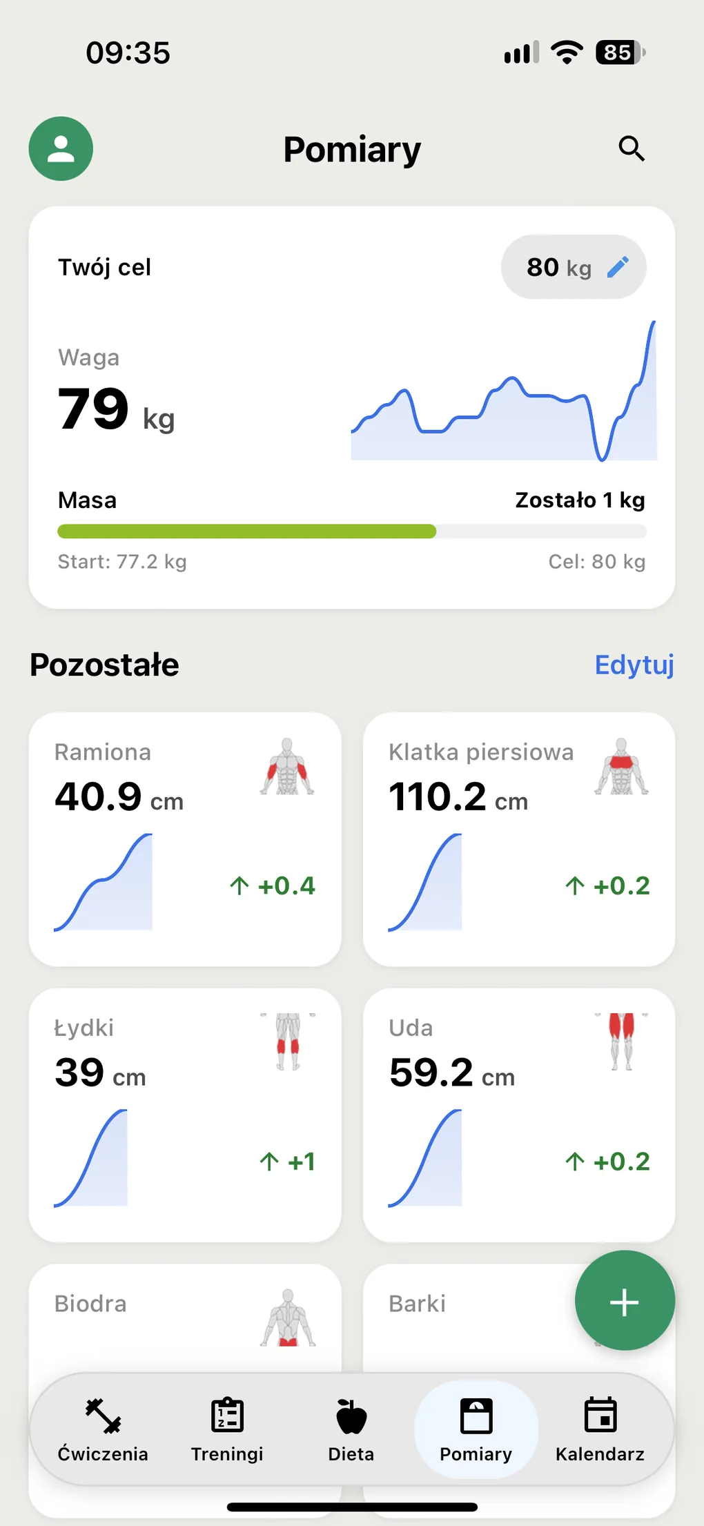 Widok pomiarów w Gympher